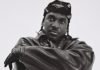 PUSHA T