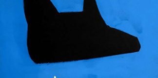 Claver Gold i miei Cani COver