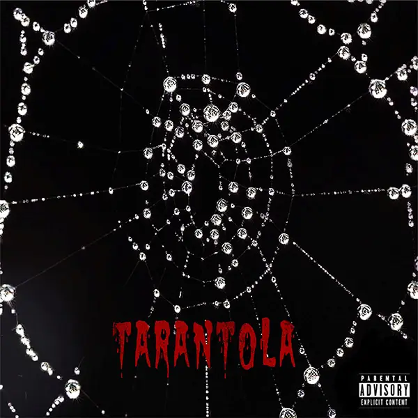 rayan-intifaya-tarantola-cover Rayan e Intifaya pubblicano il singolo