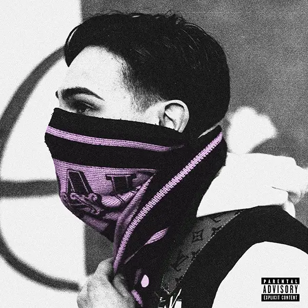 lafleche-cover
