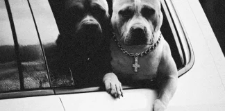Cecchy e Rasty Kilo