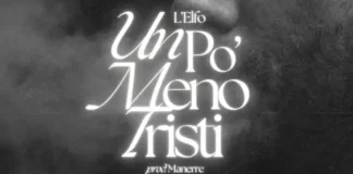 L'elfo un po meno tristi