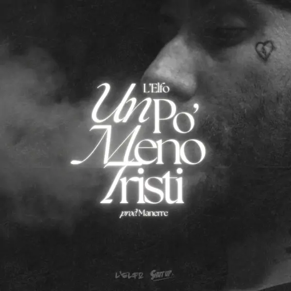 L'elfo un po meno tristi