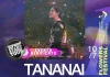 Tananai in concerto al Flowers Festival il 10 Luglio 2025